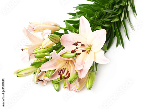 Fototapeta Naklejka Na Ścianę i Meble -  Bouquet of lilies isolated