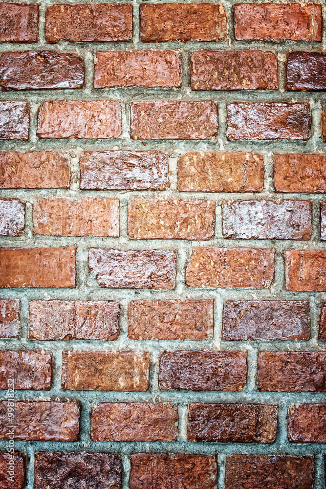 Fototapeta premium Old brick walls, the interior beautifully.