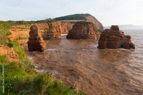 Sandstone rock stacks Ladram Bay Jurassic coast Devon England UK