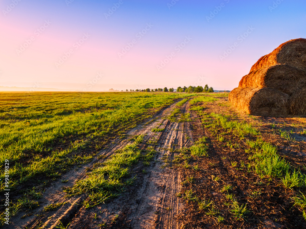 Naklejka premium Countryside Road Spring Landscape
