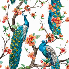 Acrylglasbilder Pfauenmuster Aquarell Pfau Muster in Pastelltönen  © Zenina-Lembrik