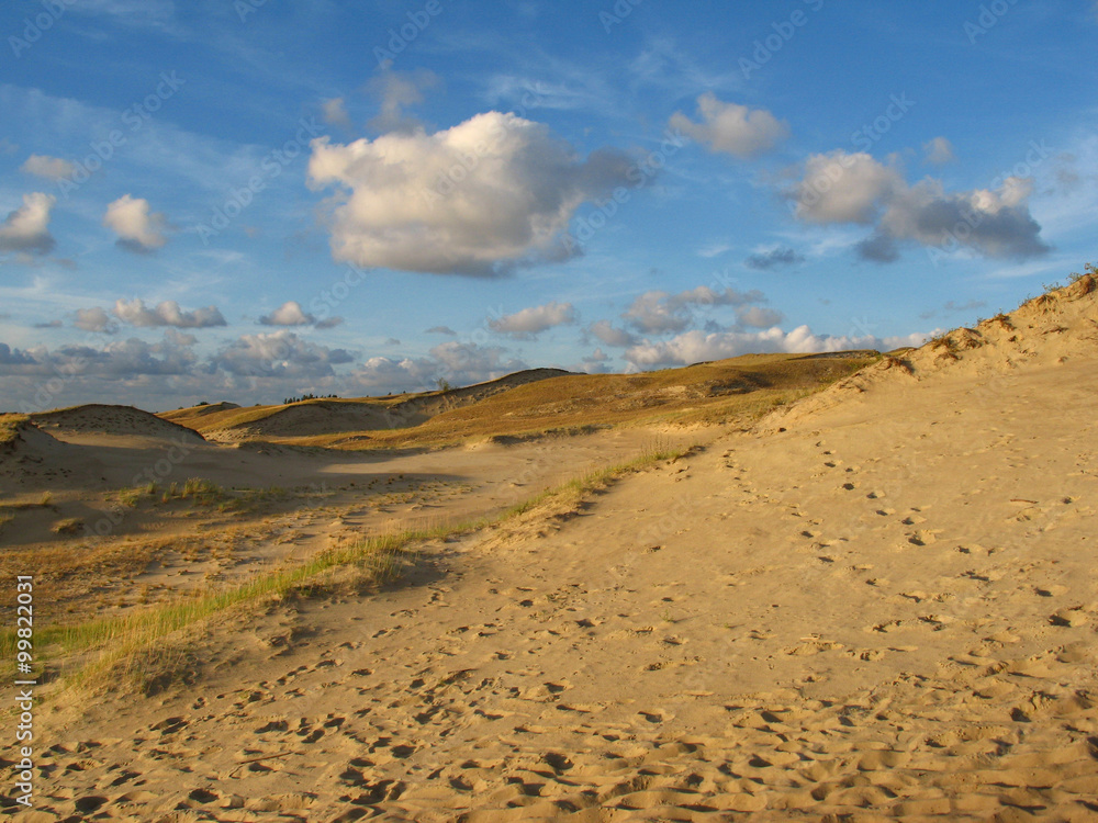 Dunes in Neringa Dunes in Neringa