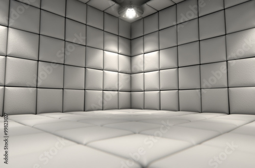 Padded Cell Dirty