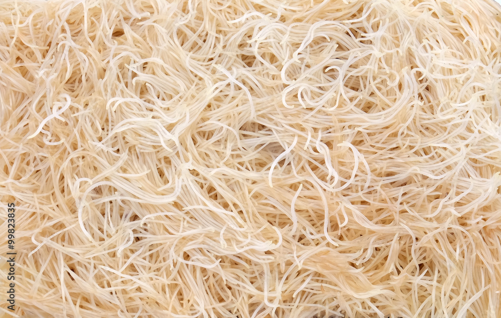 The roots of cultured lawn grass closeup background and texture. The roots of cultured lawn grass closeup background and texture.