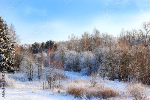 Winter. Beautiful winter landscape with snow covered trees © Agnes