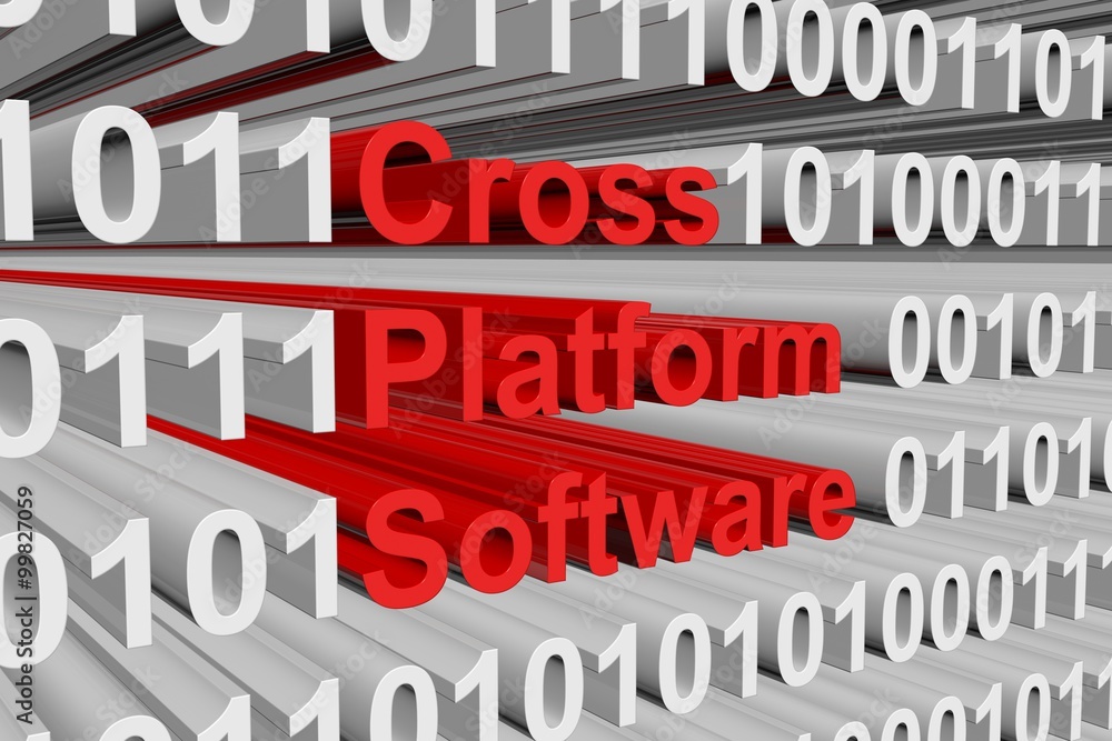 Cross platform software is presented in the form of binary code Cross platform software is presented in the form of binary code