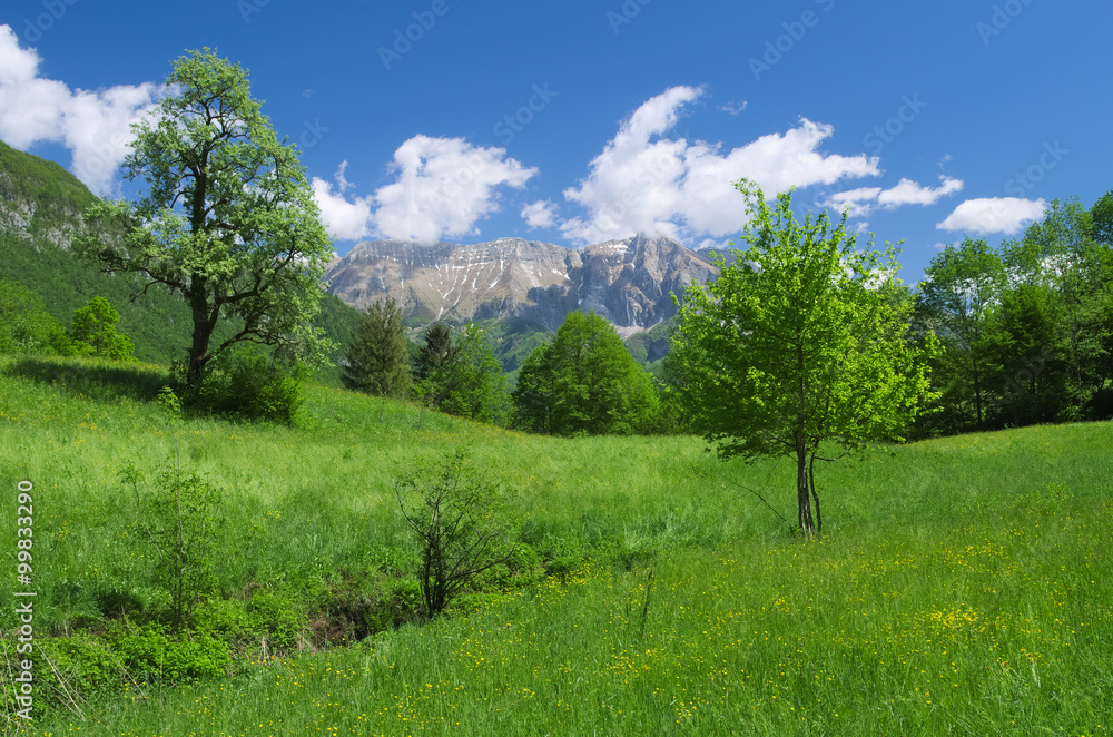 Late spring view of the alpine valley of Kobarid (Caporetto), with Krn mountain in the background, Slovenia
