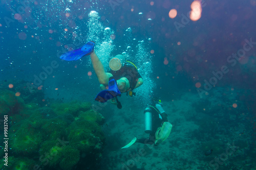 Wallpaper Mural Scuba diving on coral reef in sea Torontodigital.ca