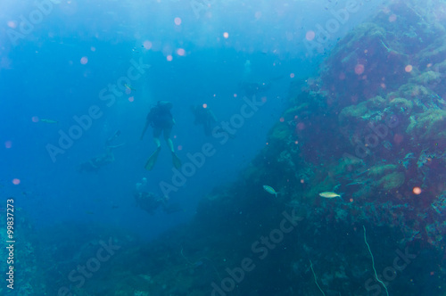 Diver blue water scuba diving at Shark island of Koh tao © themorningglory