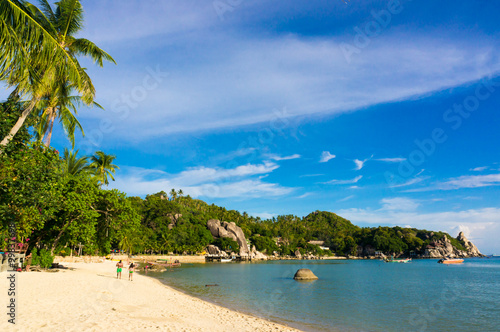 Beautiful island beach with coconut tree at Koh Tao
