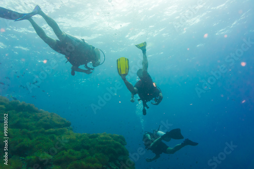 Scuba diving on coral reef in sea © themorningglory