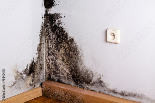 Fotografiet Black mold in the corner of room wall