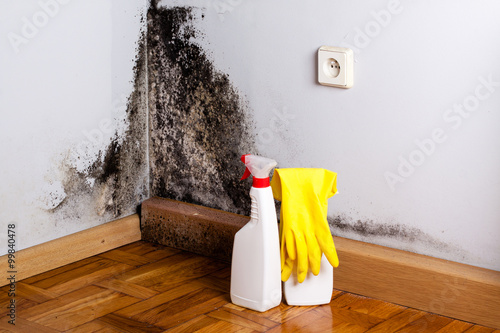 Obraz na płótnie Black mold in the corner of room wall. Preparation for mold removal. w salonie