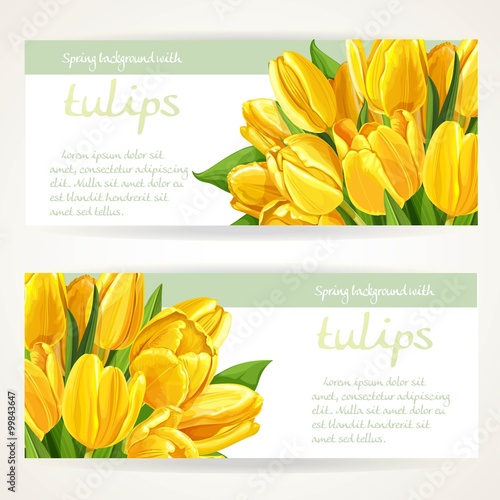 Fototapeta Naklejka Na Ścianę i Meble -  Two horizontal spring banners with yellow flowers tulips on a wh