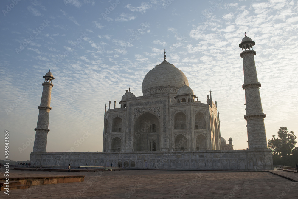 Taj Mahal lateral a la sombra. Agra, India