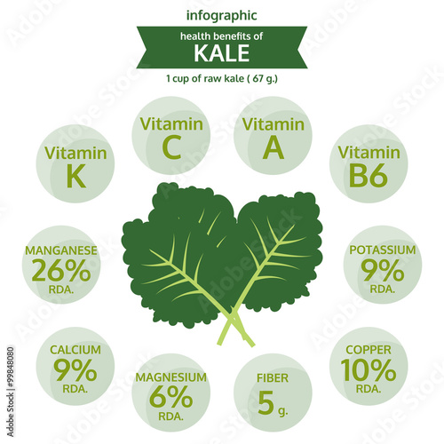 benefit health of kale, info graphic food, vegetable vector