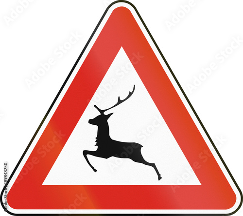 Road sign used in Slovakia - Deer crossing photo