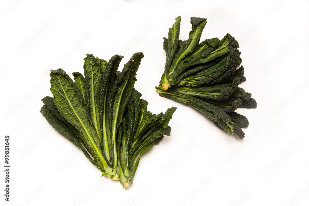 Cavolo Nero an Italian cabbage isolated on white studio background Cavolo Nero an Italian cabbage isolated on white studio background