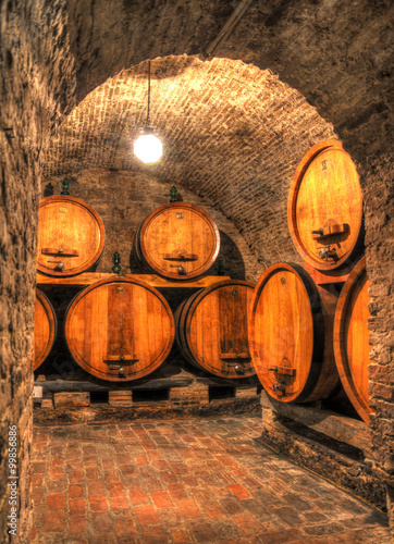 View into an old wine cellar with large barrels through an arch