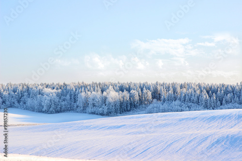 Winter. Beautiful winter landscape with snow covered trees © Agnes