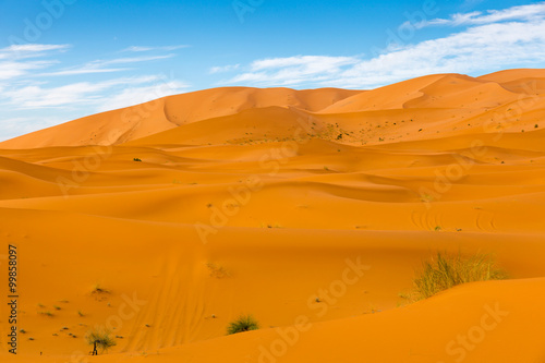 Sahara Desert  Morocco