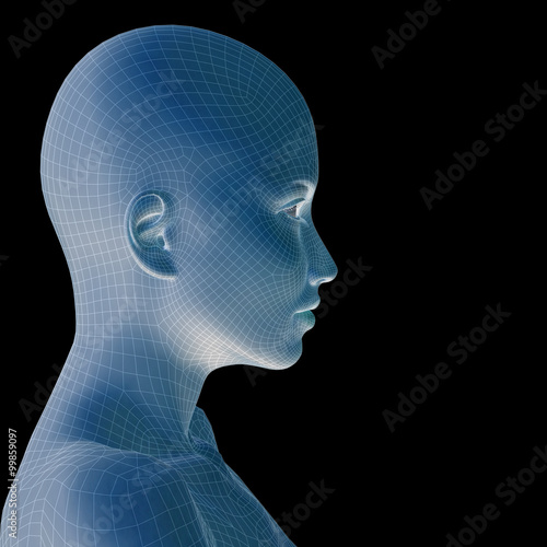 Conceptual 3D wireframe human female or woman face or head