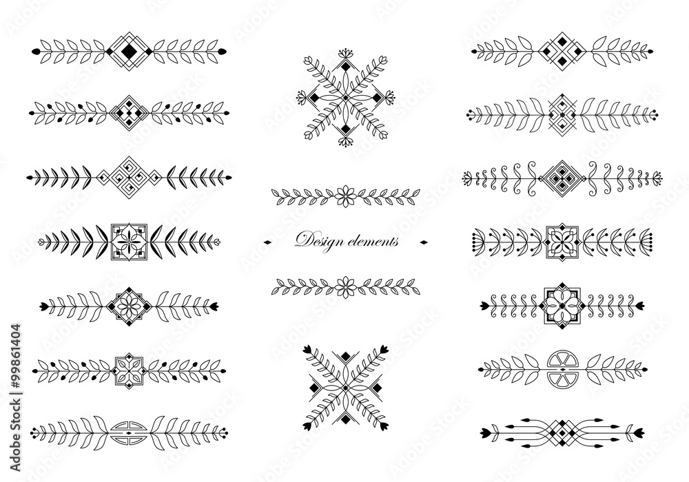 Obraz premium Floral ornamental design elements