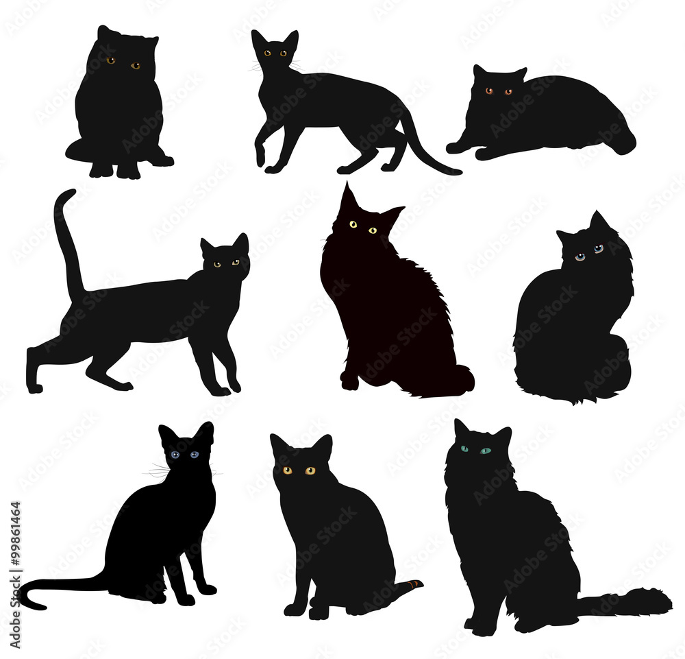 Vector Breed cats silhouette in different poses isolated