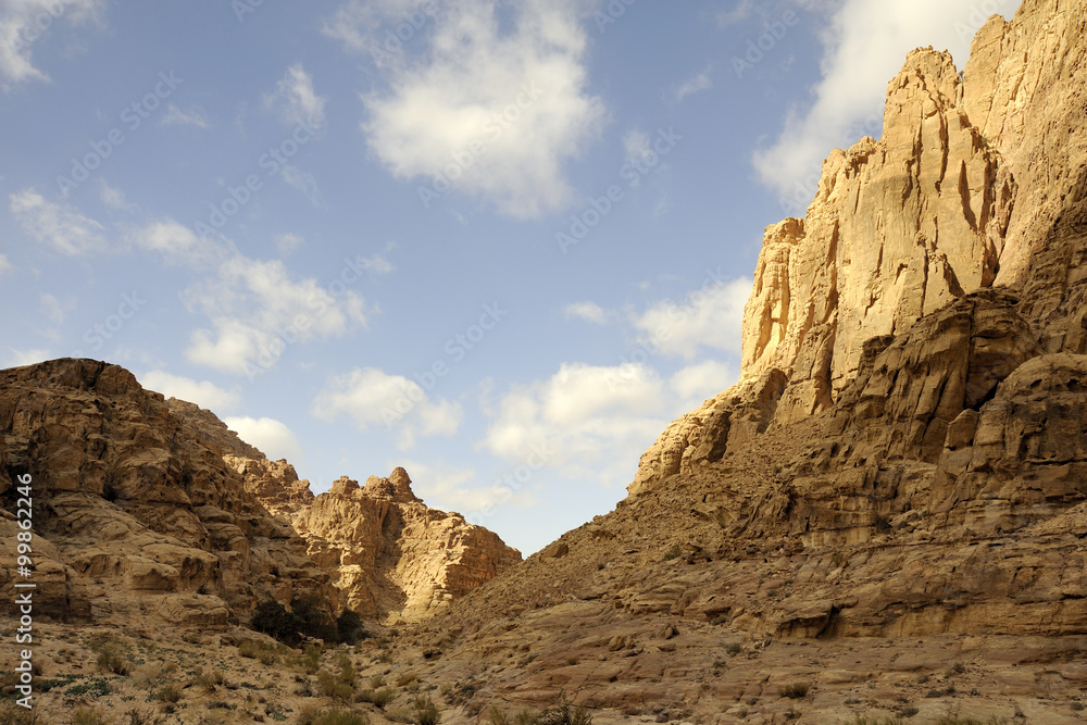 Desert mountain morning landscape, Jordan