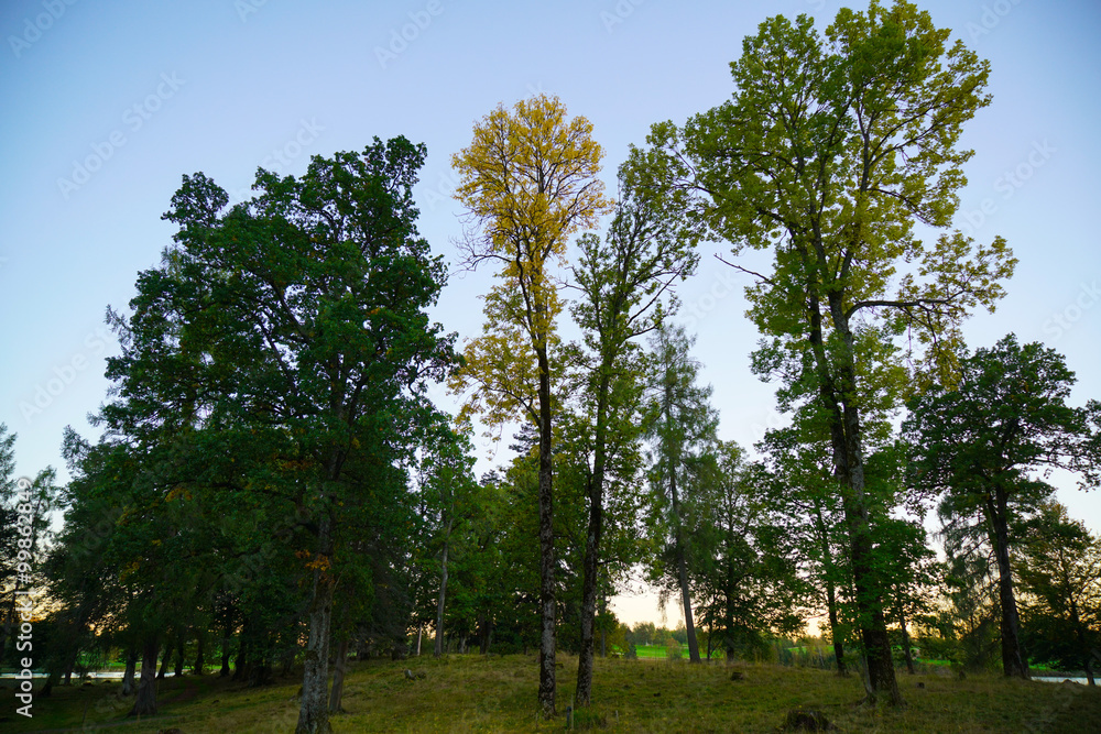 Fototapeta premium Autumn in Oslo