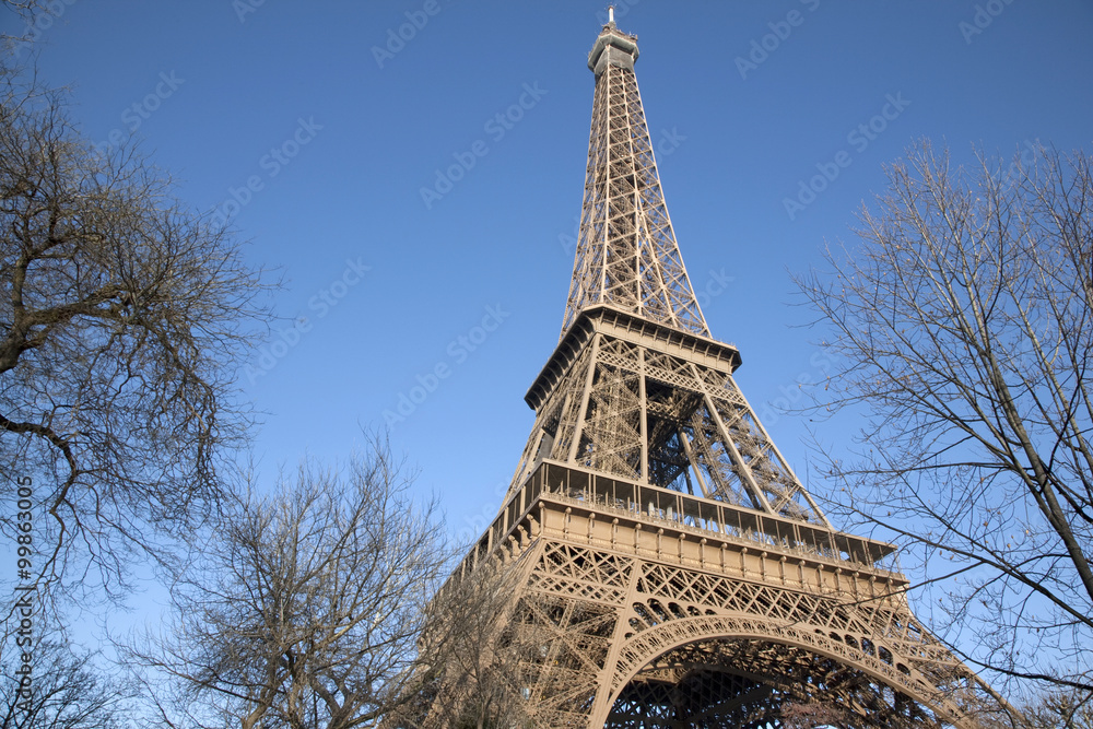 Eiffel Tower with Winter Trees in Paris, France