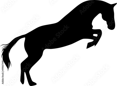 Silhouette of jumping horse