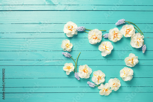 Fototapeta Naklejka Na Ścianę i Meble -  Heart from white narcissus and  blue muscaries on green  painted