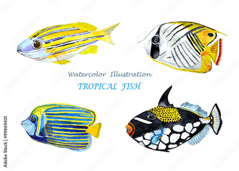 Naklejka premium Watercolor tropical fish.