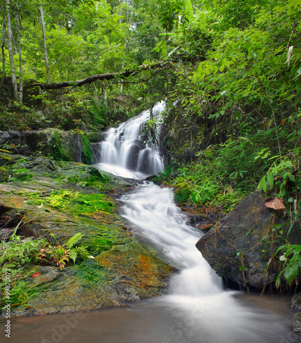 Waterfall background in jungle forest