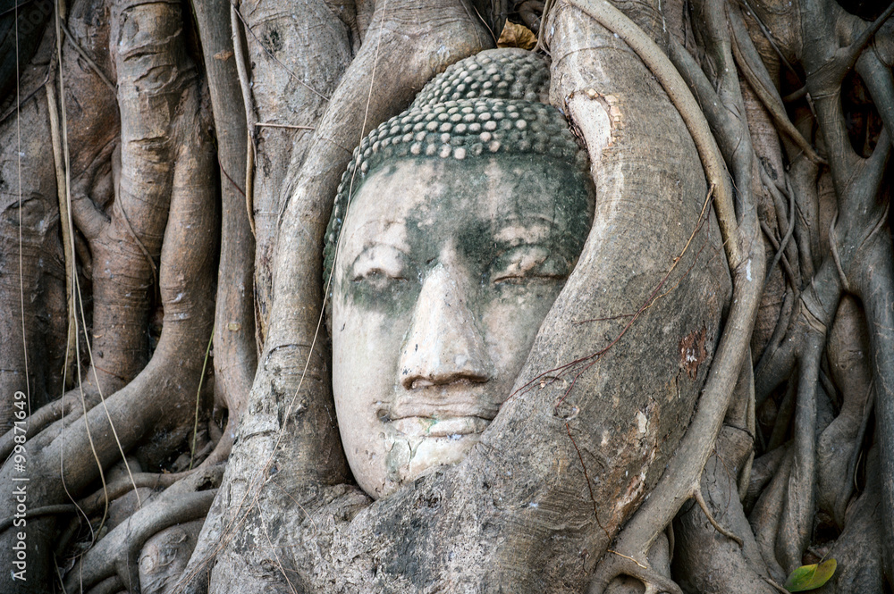Buddha head it tree roots tourist travel landmark