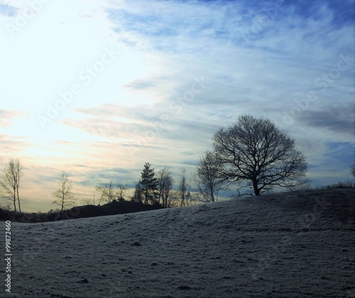 Vinterlandskap photo