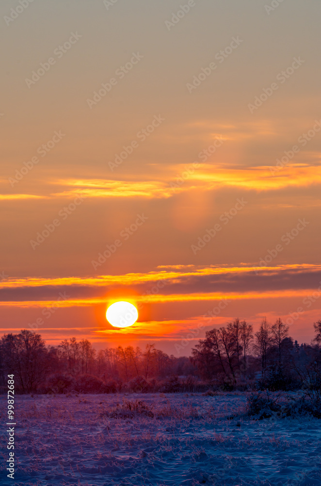 Fototapeta premium sunrise at snowy frosty field