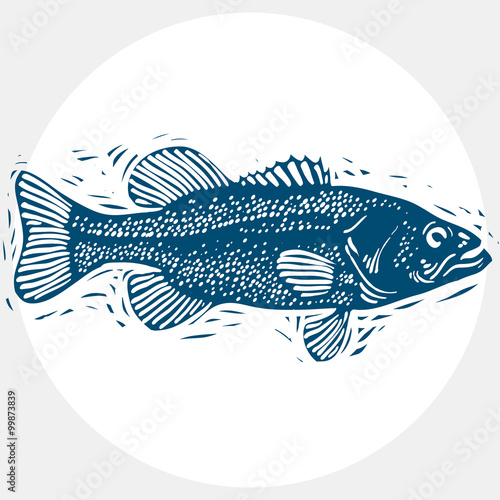 Fish species, vector marine fauna symbol. Hand drawn silhouette