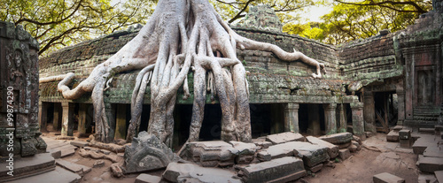 Ancient temples of Angkor Wat site in Cambodia under big tree roots