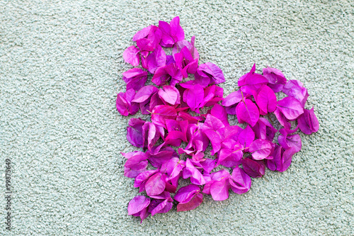 Foto Heart shaped bougainvillaea leaves
