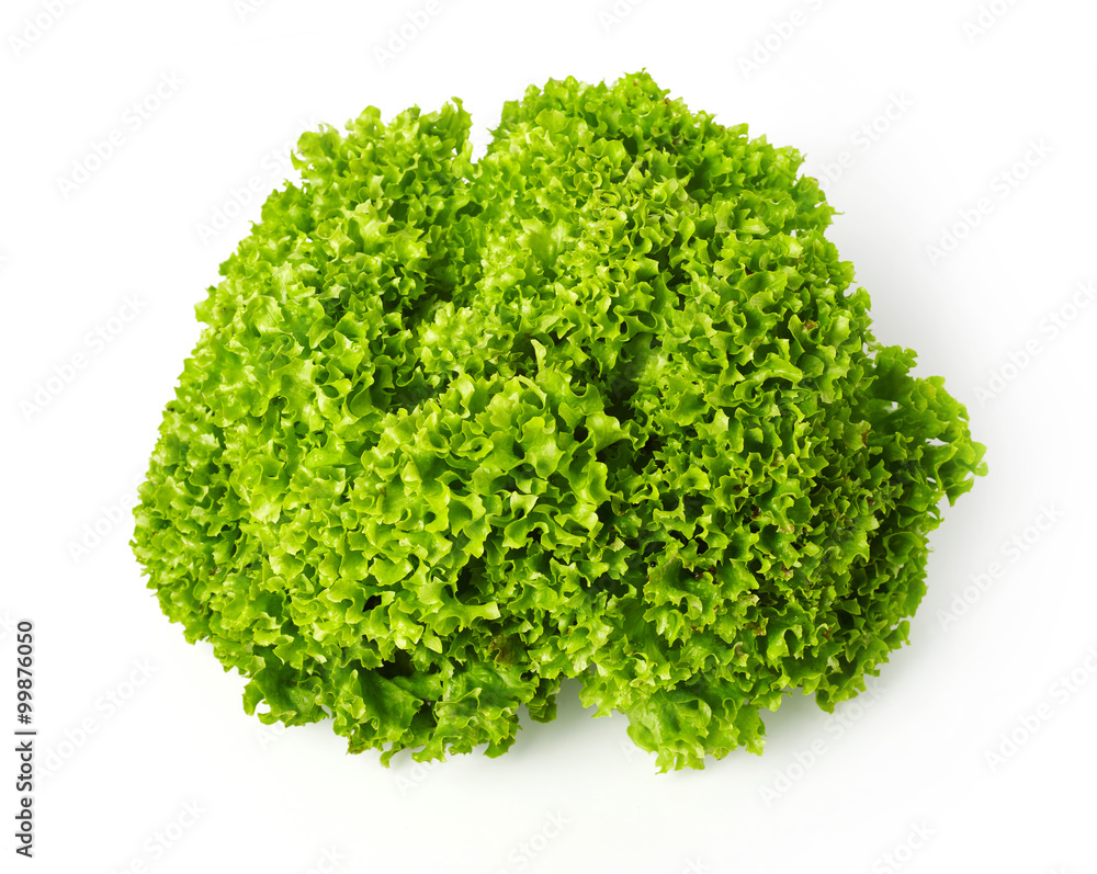 Fototapeta premium Salad