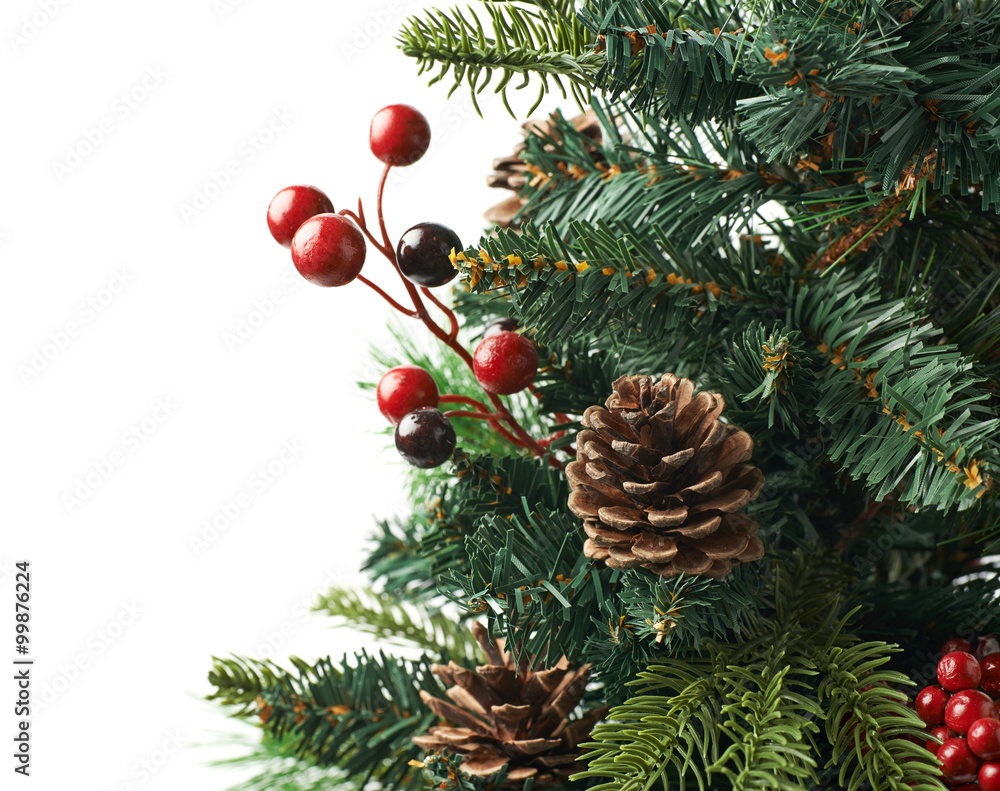 Fragment of a Christmas tree isolated Fragment of a Christmas tree isolated