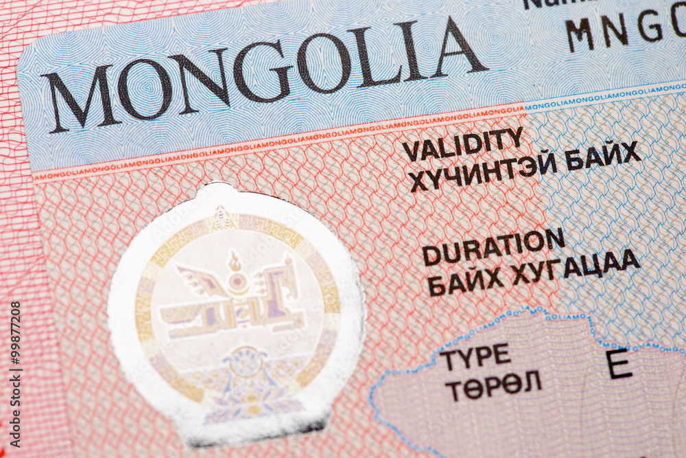 Fragment of the Mongolian tourist entry visa. Stock Photo | Adobe Stock