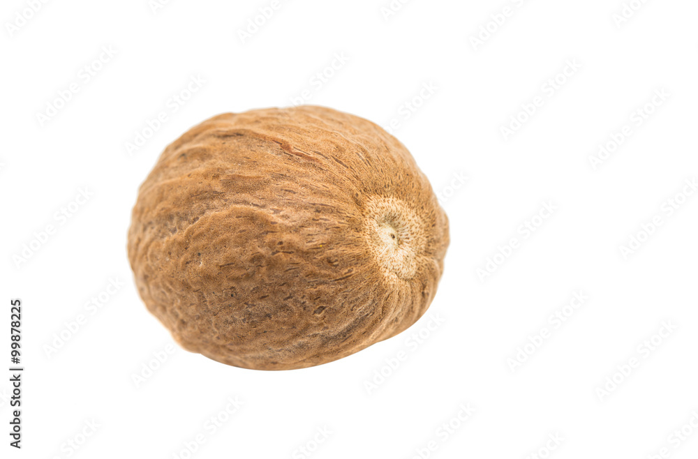 nutmeg spice nutmeg spice