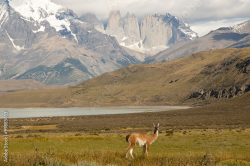 Torres Del Paine National Park - Chile © Adwo