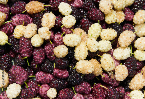 background made with mulberry heap