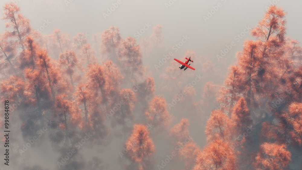 Obraz premium Samolot jednosilnikowy nad sosnami jesiennymi we mgle.