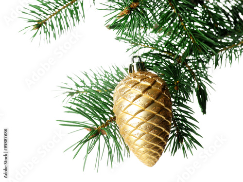 Yellow cone on a Christmas tree branch  isolated on white