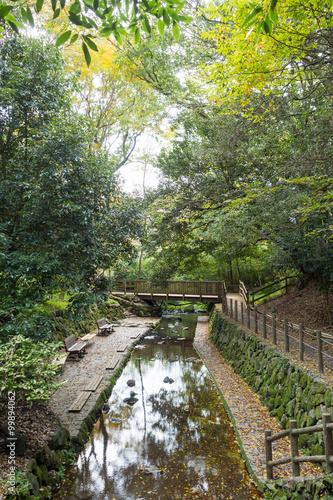 Autumn Kakita River Park